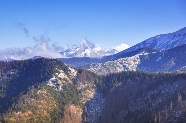 Scenery of Tatra mountains at winter, Poland - Photo, Image