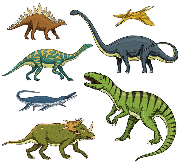 恐竜はティラノサウルス、トリケラトプス、バロサウルス、ディプロドクス、ヴェロキラプトル、トリケラトプス、ステゴサウルス、スケルトン、化石、設定します。先史時代の爬虫類、動物の手描きの背景. - ベクター画像