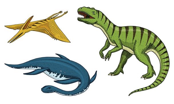 Динозавры тираннозавр рекс, эласмозавр, птерозавр, скелеты, окаменелости. Доисторические рептилии, выгравированный вручную вектор
. - Вектор,изображение