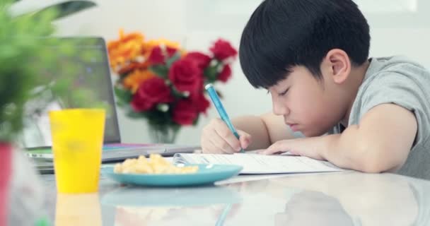 Pouco asiático pré adolescente fazendo lição de casa em casa com sorriso rosto
 - Filmagem, Vídeo