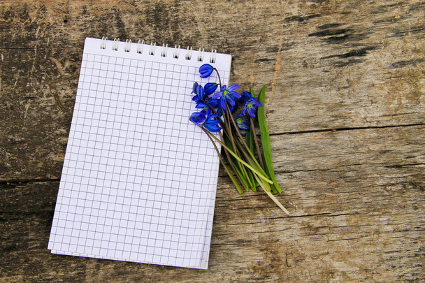 Bloc de notas en blanco con flores de scilla azul sobre fondo de madera
 - Foto, Imagen
