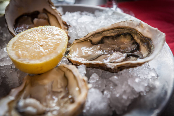 Oysters with ice and lemon - Photo, Image