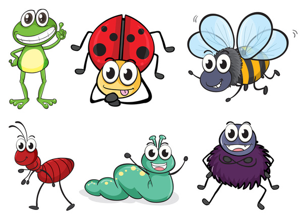 Различные насекомые и животные
 - Вектор,изображение