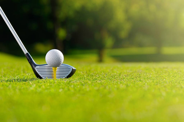 Lasst uns Golf spielen - Foto, Bild