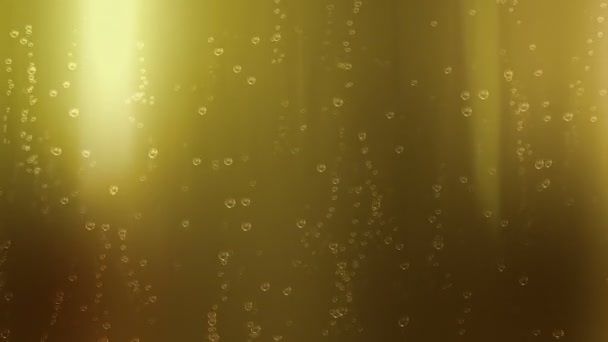 Bier Champagne Soda Bubbles lus - naadloze looping animatie van bubbels van bier, frisdrank, champagne of andere koolzuurhoudende drank. Gemakkelijk kan worden kleur gecorrigeerd naar uw wens. - Video