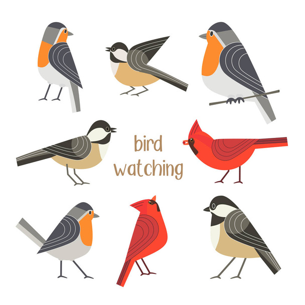 Afiche alimentación aves
 - Vector, imagen