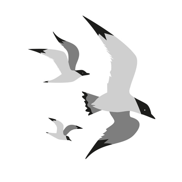 Icono de vuelo de gaviota
 - Vector, imagen