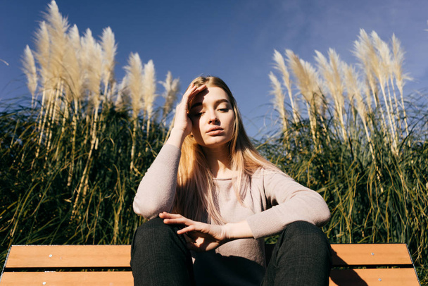 cute young blonde girl in stylish clothes sits in the sun on a green field background - 写真・画像