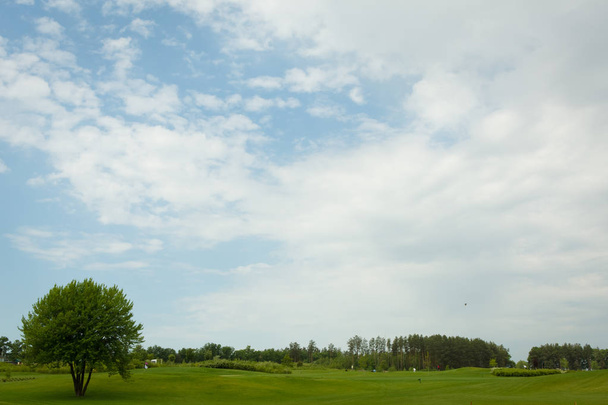lush fairway in the foreground contrast in the distance at a gol - Valokuva, kuva