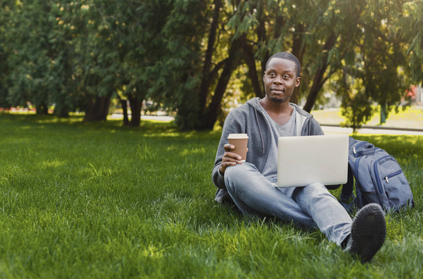 Grave studente afro-americano che utilizza il computer portatile nel parco
 - Foto, immagini