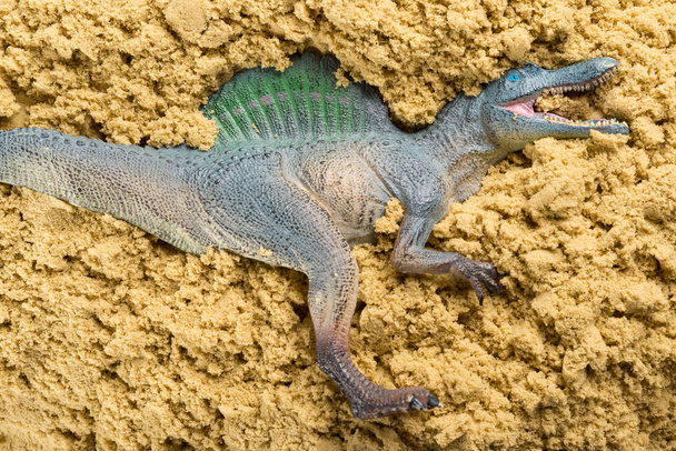 szürke spinosaurus a homok fogalmának állati földmunka - Fotó, kép