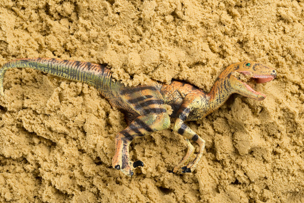 VelociRaptor tarihsel hayvan kazı kum kavramı üzerinde - Fotoğraf, Görsel