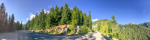 Mount Rainier National Park road, panoramisch uitzicht. - Foto, afbeelding