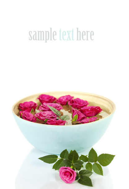 Pink roses in bowl - Photo, image