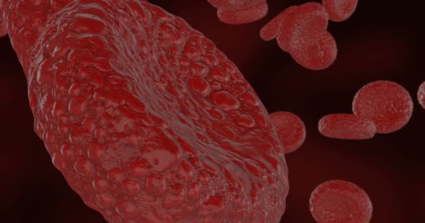 Blood cells or red blood cells flowing in stream in artery of human body - Footage, Video