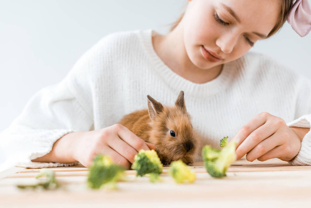木製のテーブルでブロッコリーとかわいい毛皮のようなウサギ餌をやる少女のショットをトリミング   - 写真・画像