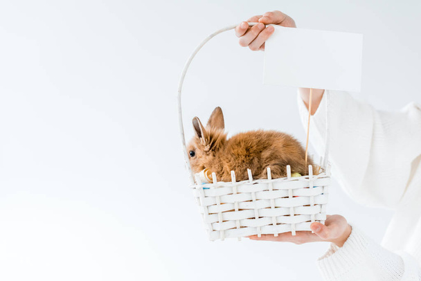 cropped shot of girl holding basket with cute furry rabbit and blank card isolated on white - Fotoğraf, Görsel