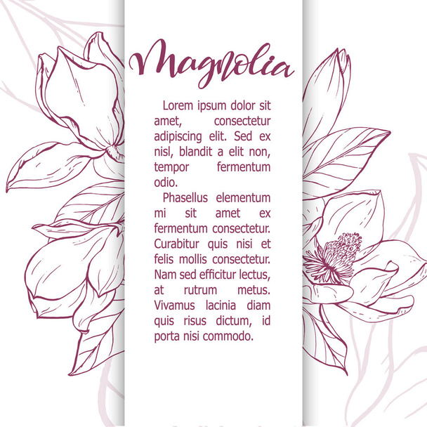 Schets lineaire magnolia bloesem. - Vector, afbeelding