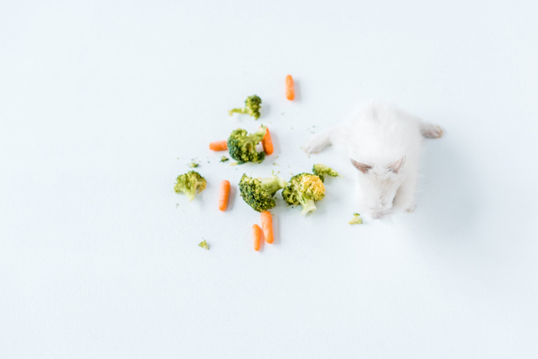 top view of fresh vegetables and cute furry rabbit on white  - Foto, Bild
