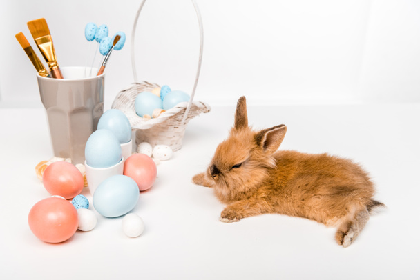 adorable conejo peludo y huevos de Pascua pintados en blanco
 - Foto, Imagen