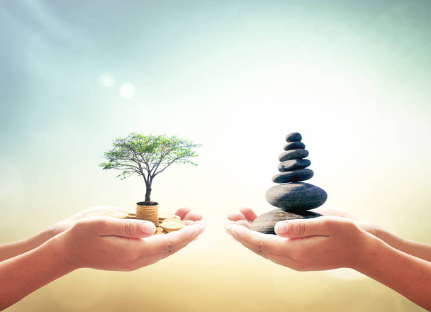 Barter fogalma: két emberi kéz, gazdaság halom arany pénzt a nagy fa, és a Zen kő, homályos természet háttér - Fotó, kép