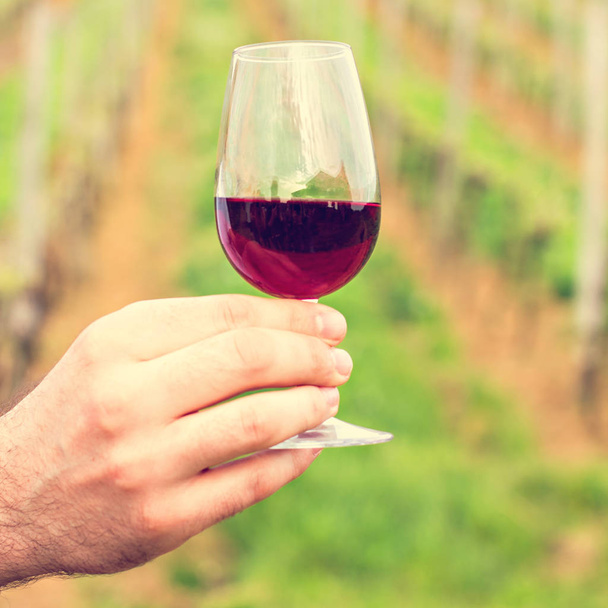 Бокал красного вина в руке мужчины - Фото, изображение