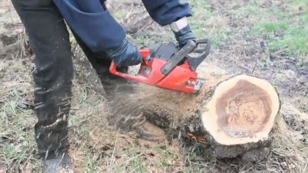 dřevorubec služba - Záběry, video