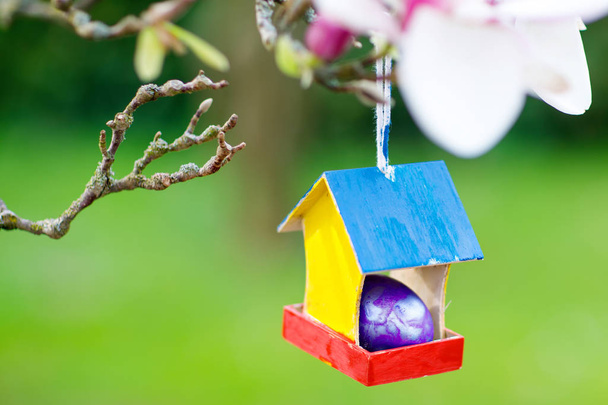 Closeup of colorful Easter egg in bird house on blooming magnolia tree - Photo, Image