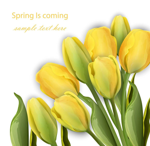 Yellow Tulip flowers on white background Vector realistic illustrations - Vector, Imagen