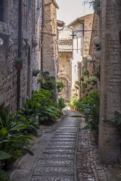 Spello, Perugia, medieval city - Zdjęcie, obraz
