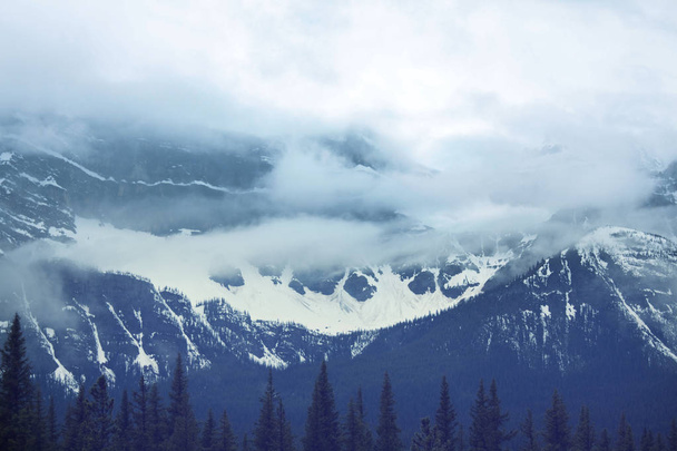 Yaz mevsiminde Kanada Kayalıkları 'nda resim gibi dağ manzarası - Fotoğraf, Görsel