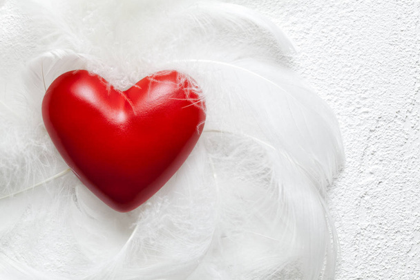 Red heart and white feathers on plastered background - Photo, image