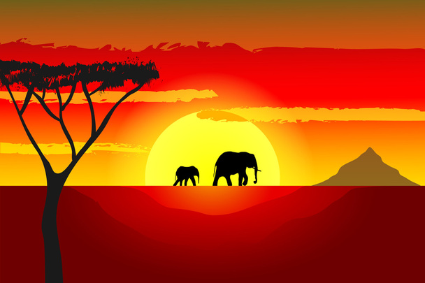 Afrikaanse zonsondergang - Vector, afbeelding