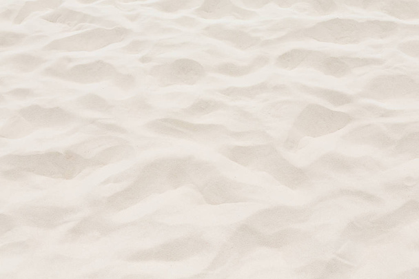 Empty tropical beach with copy space - Фото, изображение