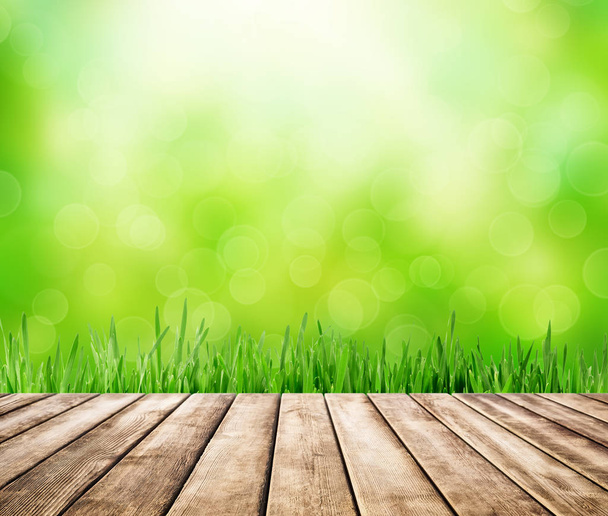 Abstract green nature background - Foto, Imagem