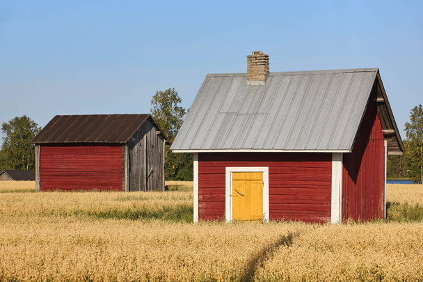 traditionelle finnische rote Holzbauernhöfe auf dem Land - Foto, Bild