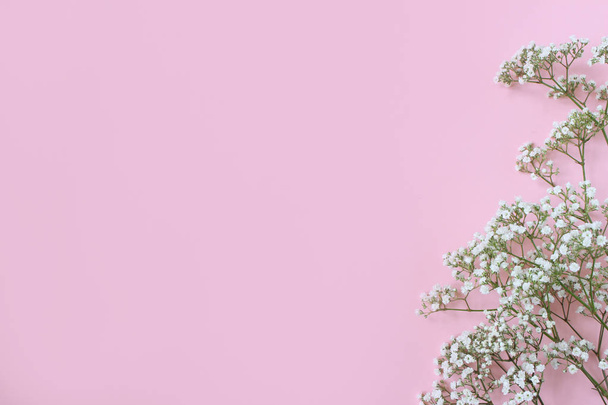 Styled stock photo. Feminine wedding, birthday desktop mockup with babys breath Gypsophila flowers. Pink background. Empty space. Floral frame, web banner. Top view. Picture for blog or social media. - 写真・画像