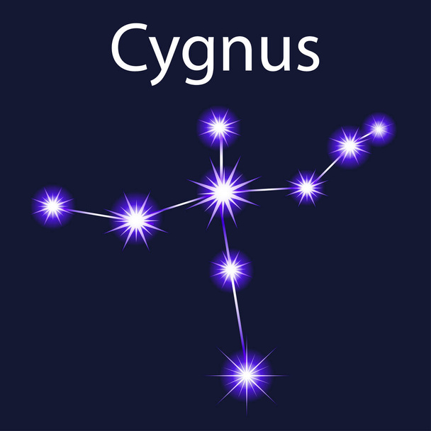 Illustration constellation Cygnus  with stars in the night sky - Vettoriali, immagini