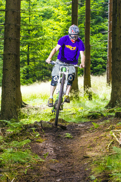 Downhill-Biker springt im Wald über eine Rampe - Foto, Bild