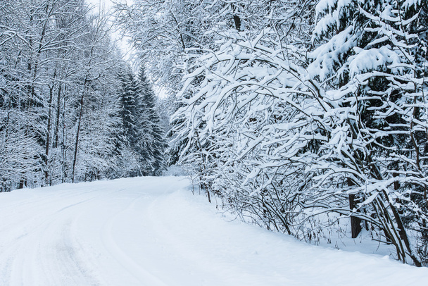 winter road - Foto, afbeelding