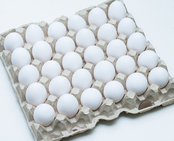 chicken egg - Foto, imagen