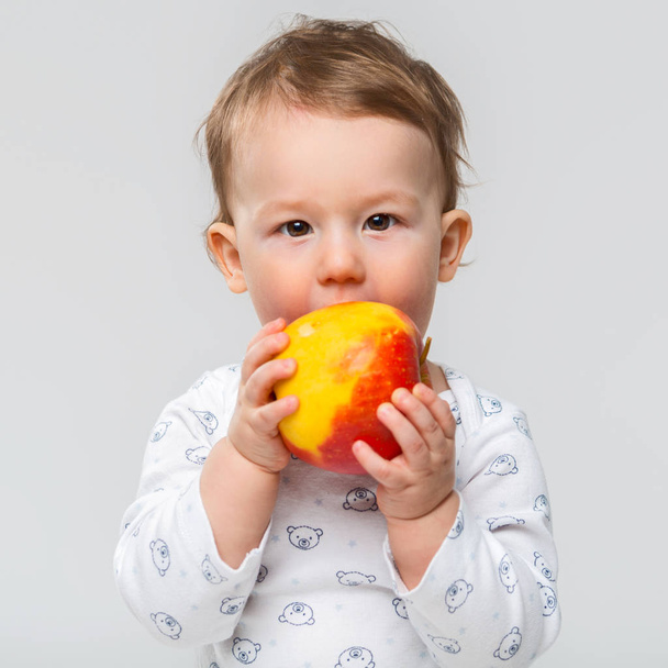 Porträt eines glücklichen kleinen Kindes mit einem Apfel in der Hand auf grauem Hintergrund - Foto, Bild