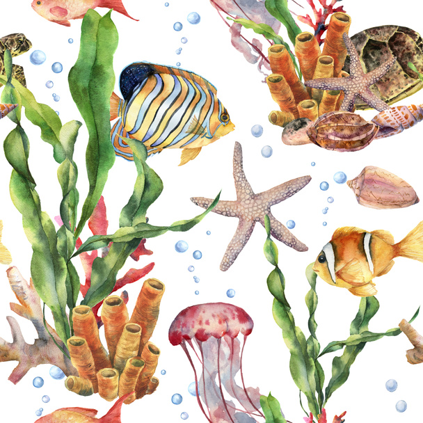 Akvarelu vzor bezešvé s laminaria větev, korálových útesů a mořských živočichů. Ručně malované medúz, hvězdic, tropických ryb, vzduchu a prostředí. Námořních ilustrace pro design, tisk nebo pozadí. - Fotografie, Obrázek
