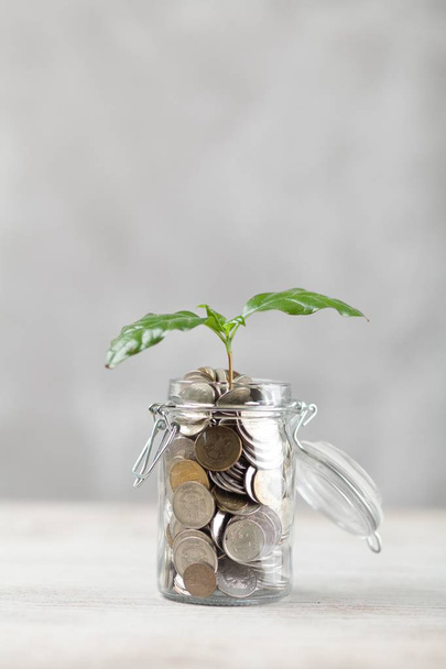 Coins in a glass jar - Photo, Image