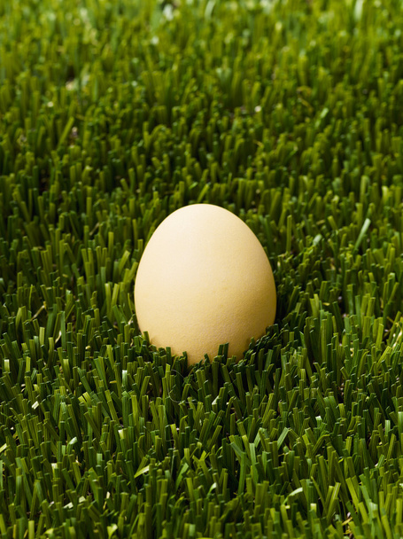 brown egg isolated with a green grass - Foto, Imagen
