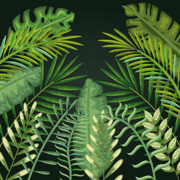 tropische en exotische palmen bladeren - Vector, afbeelding
