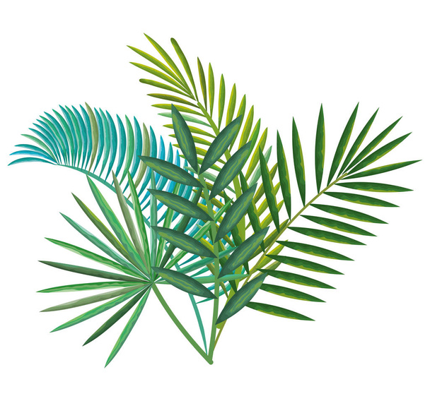 tropical and exotic palms leafs - Вектор, зображення