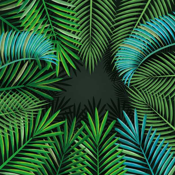 тропические и экзотические листья пальм
 - Вектор,изображение
