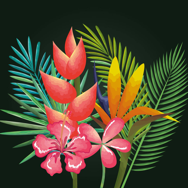 tropical and exotics flowers and leafs - Vector, Image