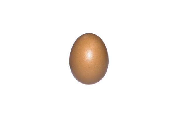 Dividere uovo da sfondo bianco, concetto di ristorante
. - Foto, immagini